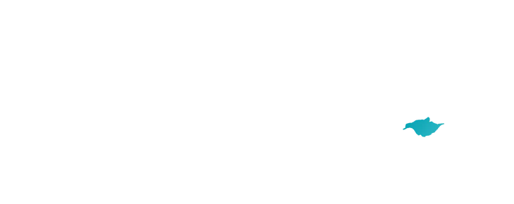 nb
